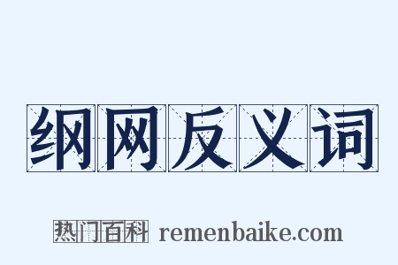 纲网反义词是什么意思的图片